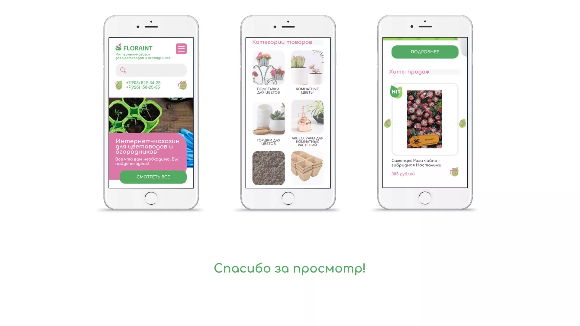 Создание логотипа и интернет-магазина «FLORAINT» в Аше