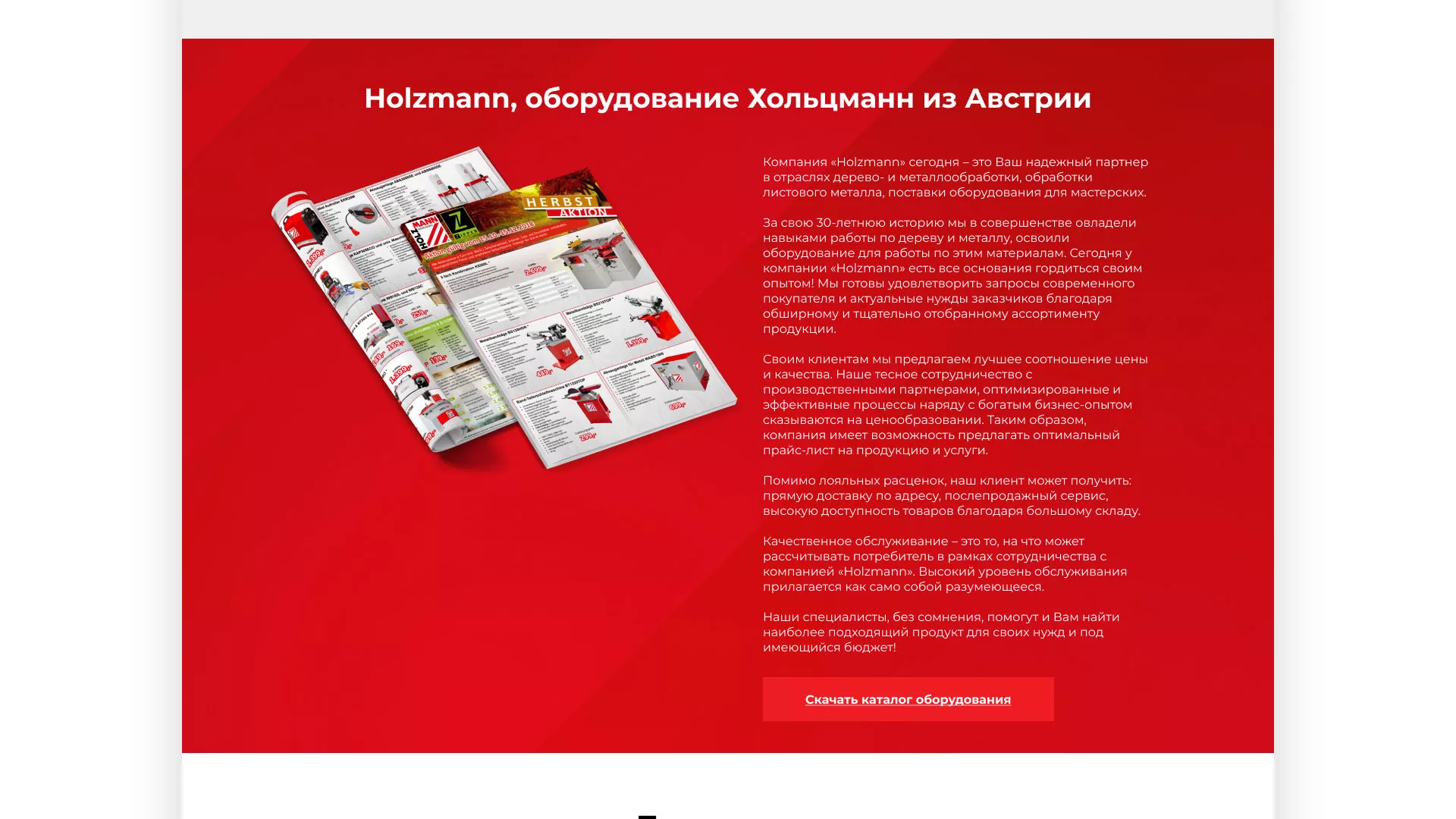Создание сайта компании «HOLZMANN Maschinen GmbH» в Аше