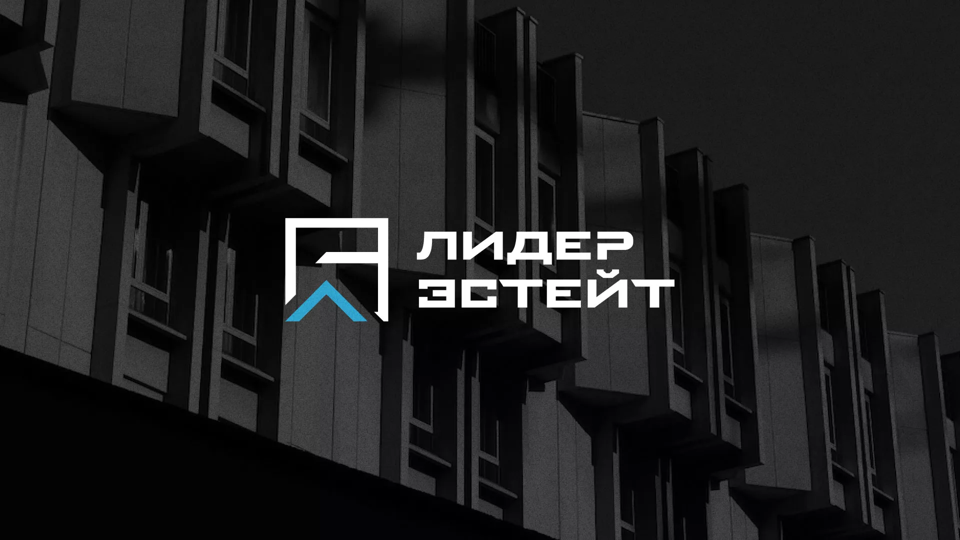 Разработка логотипа агентства недвижимости «Лидер Эстейт» в Аше